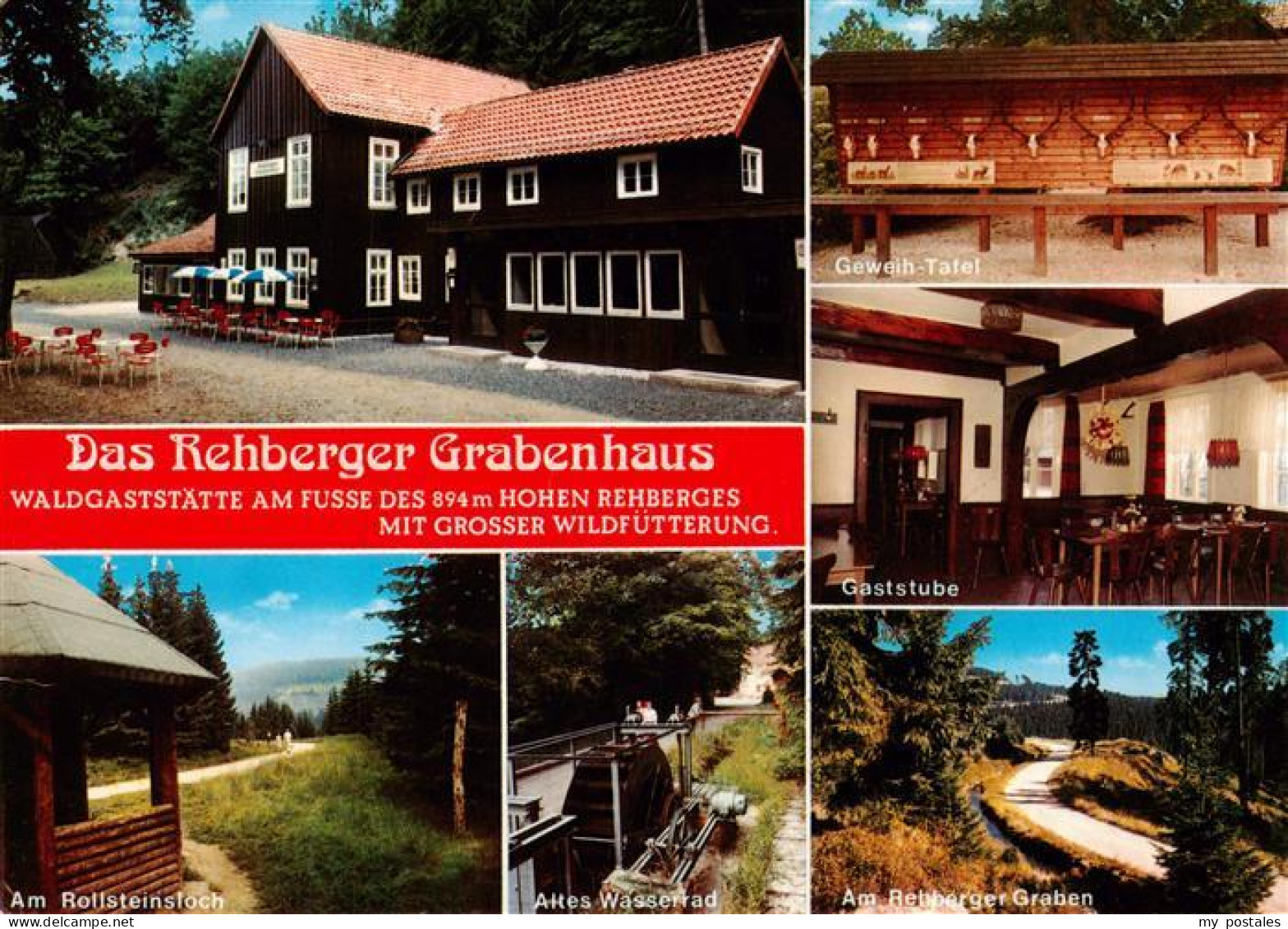 73943446 St_Andreasberg_Harz Rehberger Grabenhaus Geweih Tafel Gaststube Am Ross - St. Andreasberg