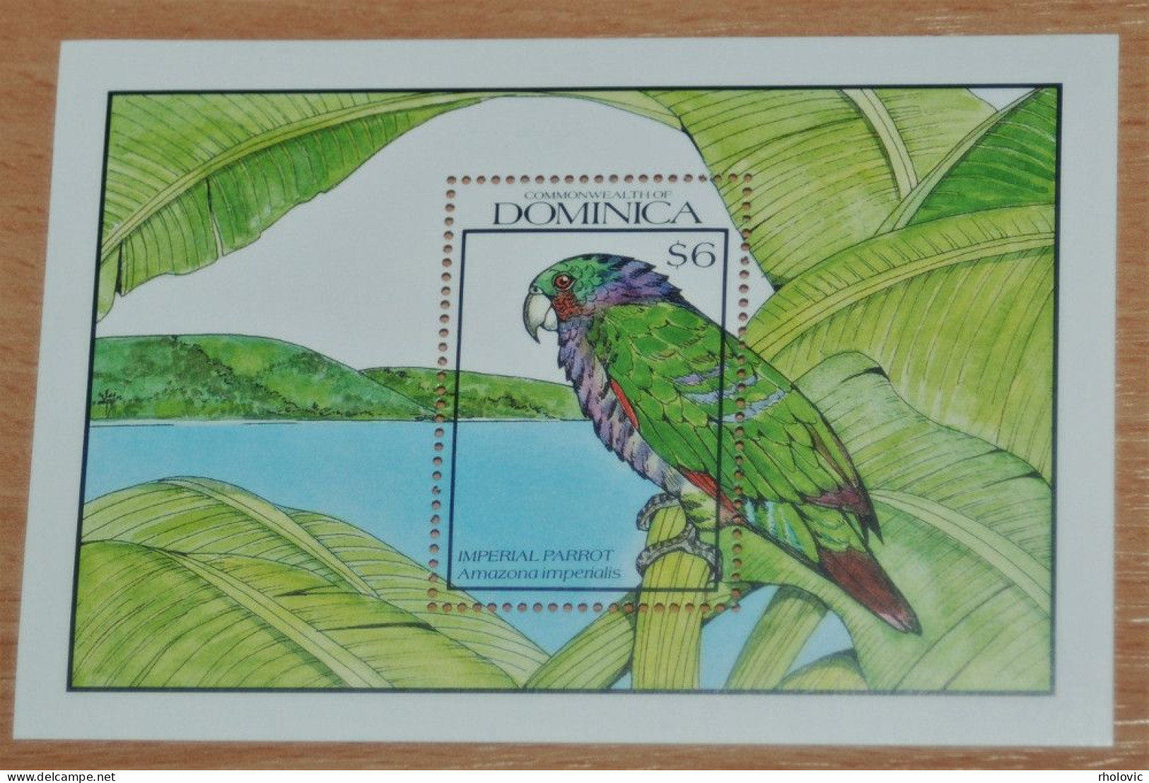 DOMINICA 1990, Birds, Parrots, Animals, Fauna, Souvenir Sheet, MNH** - Pappagalli & Tropicali