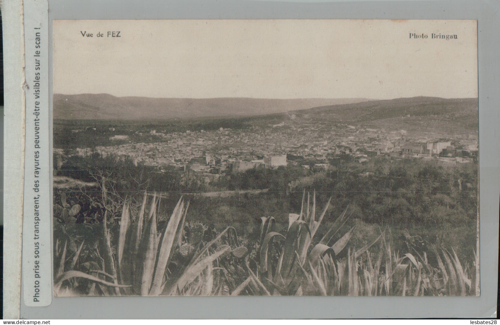 FEZ  Vue  Photo Bringau   (2024 Avril 315)  - Fez (Fès)