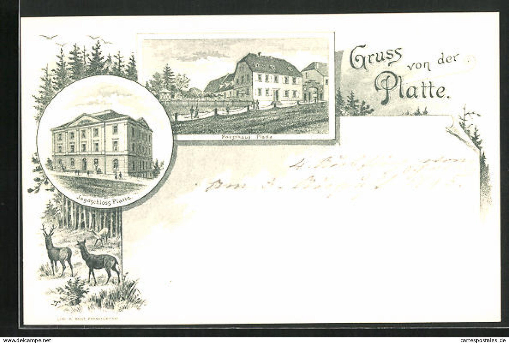 Lithographie Platte, Forsthaus, Jagdschloss, Hirsch Und Rehe  - Chasse