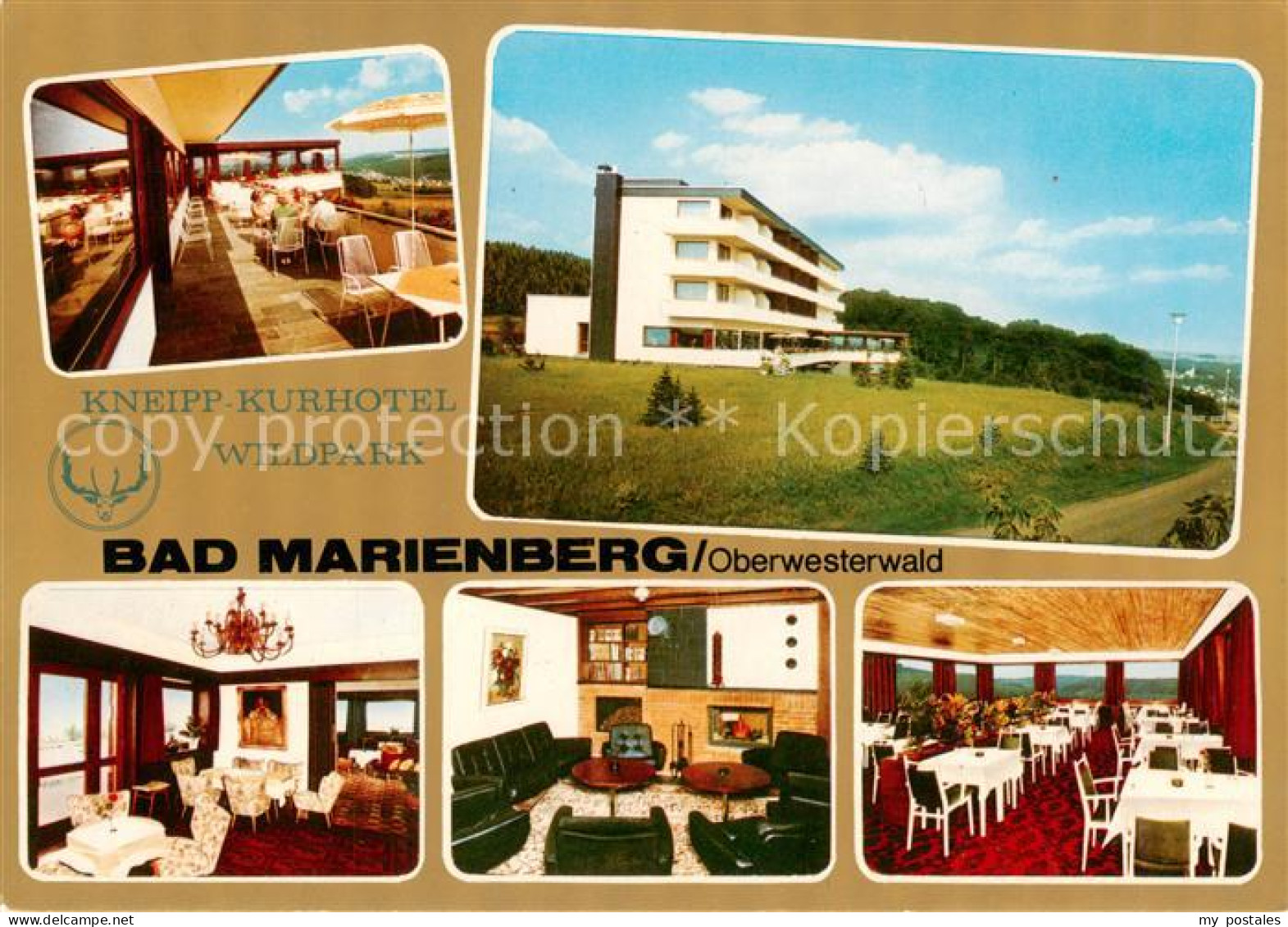 73829853 Bad Marienberg Kneipp Kurhotel Wildpark Restaurant Cafeterrasse Hallenb - Bad Marienberg