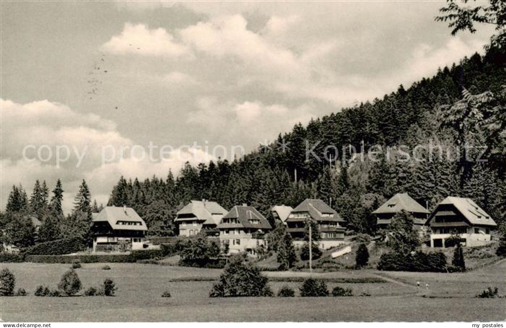 73829645 Hinterzarten Sickinger Weg Hinterzarten - Hinterzarten