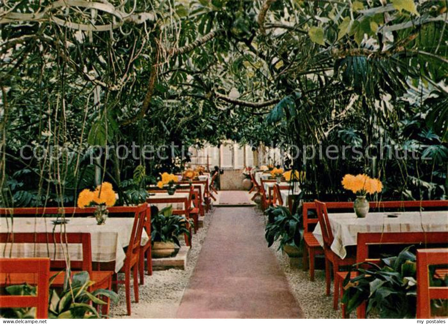 73324375 Lorch Wuerttemberg Waldkaffee Muckensee Wintergarten Lorch Wuerttemberg - Lorch