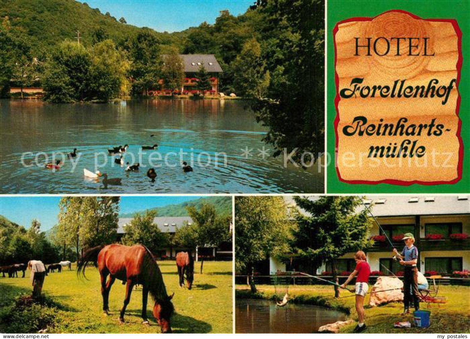 73324361 Kirn Nahe Hotel Forellenhof Reinhartsmuehle Pferde Teich Angeln Kirn Na - Kirn