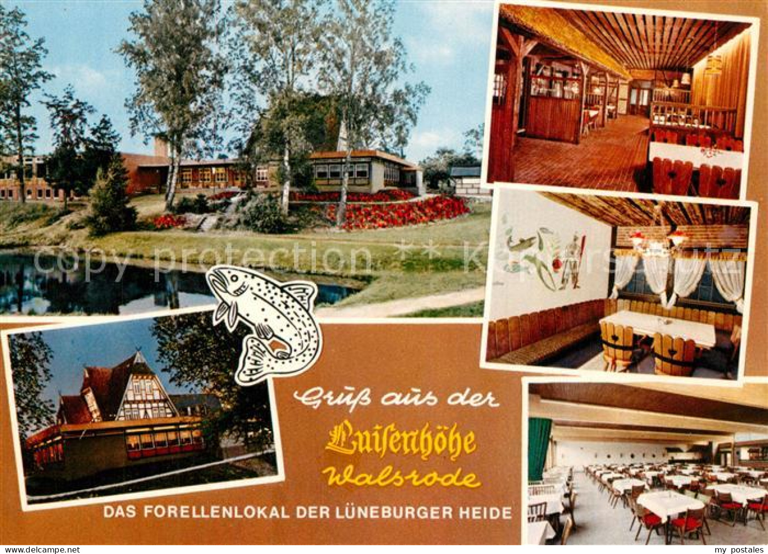 73324237 Walsrode Lueneburger Heide Restaurant Luisenhoehe Forellenlokal Teich W - Walsrode