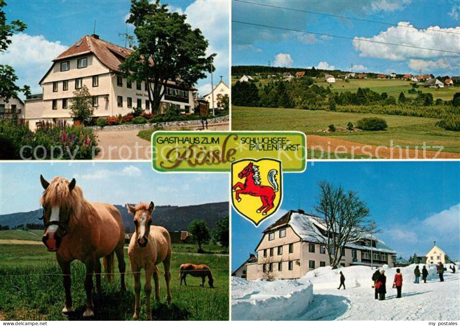 73323388 Faulenfuerst Gasthaus Zum Roessle Pferde Landschaftspanorama Faulenfuer - Schluchsee