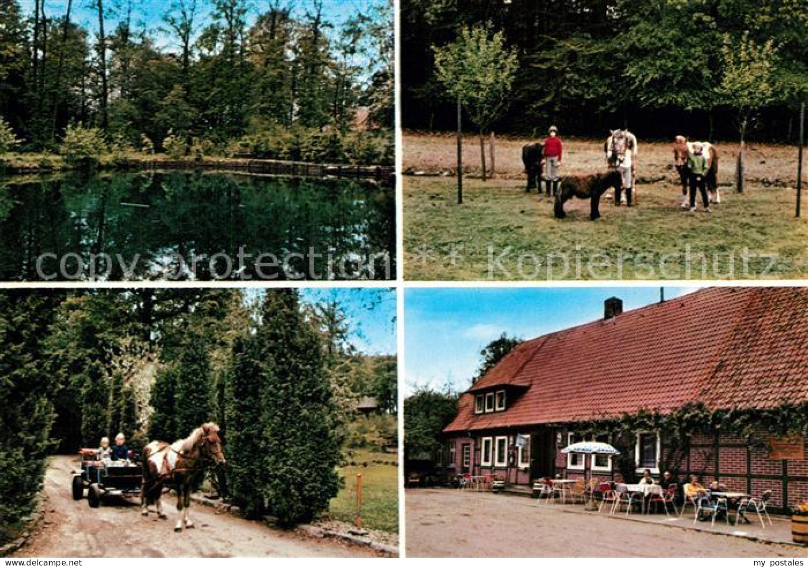 73323241 Harber Moor Urlaub Auf Dem Bauernhof Pension Willenbockel Ponys Ponykut - Soltau