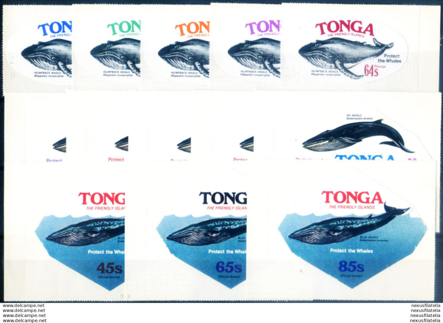 Fauna. Protezione Dei Cetacei 1977. - Tonga (1970-...)