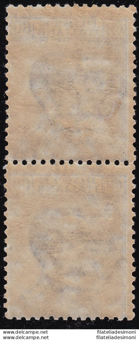 1924 REGNO DI ITALIA - N° 178gk Coppia Verticale  MNH/** VARIETA' - Other & Unclassified