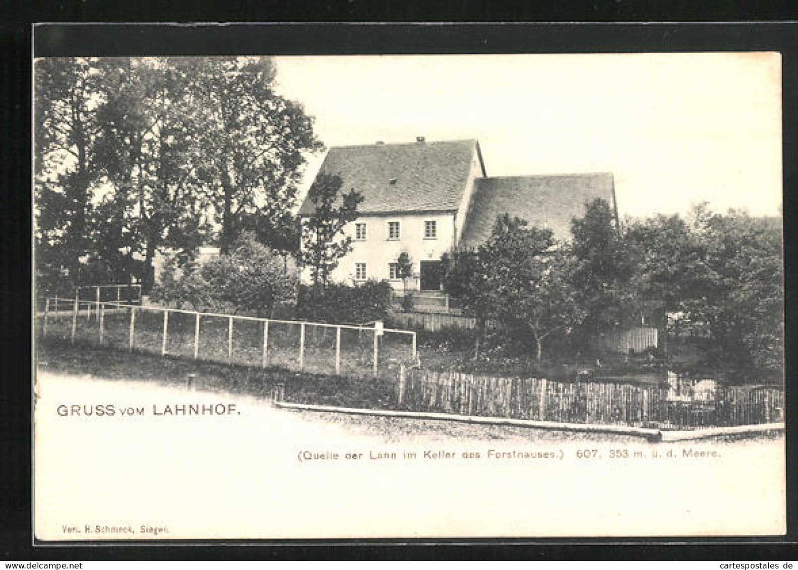 AK Netphen, Lahnhof, Quelle Der Lahn Im Keller Des Forsthauses  - Chasse