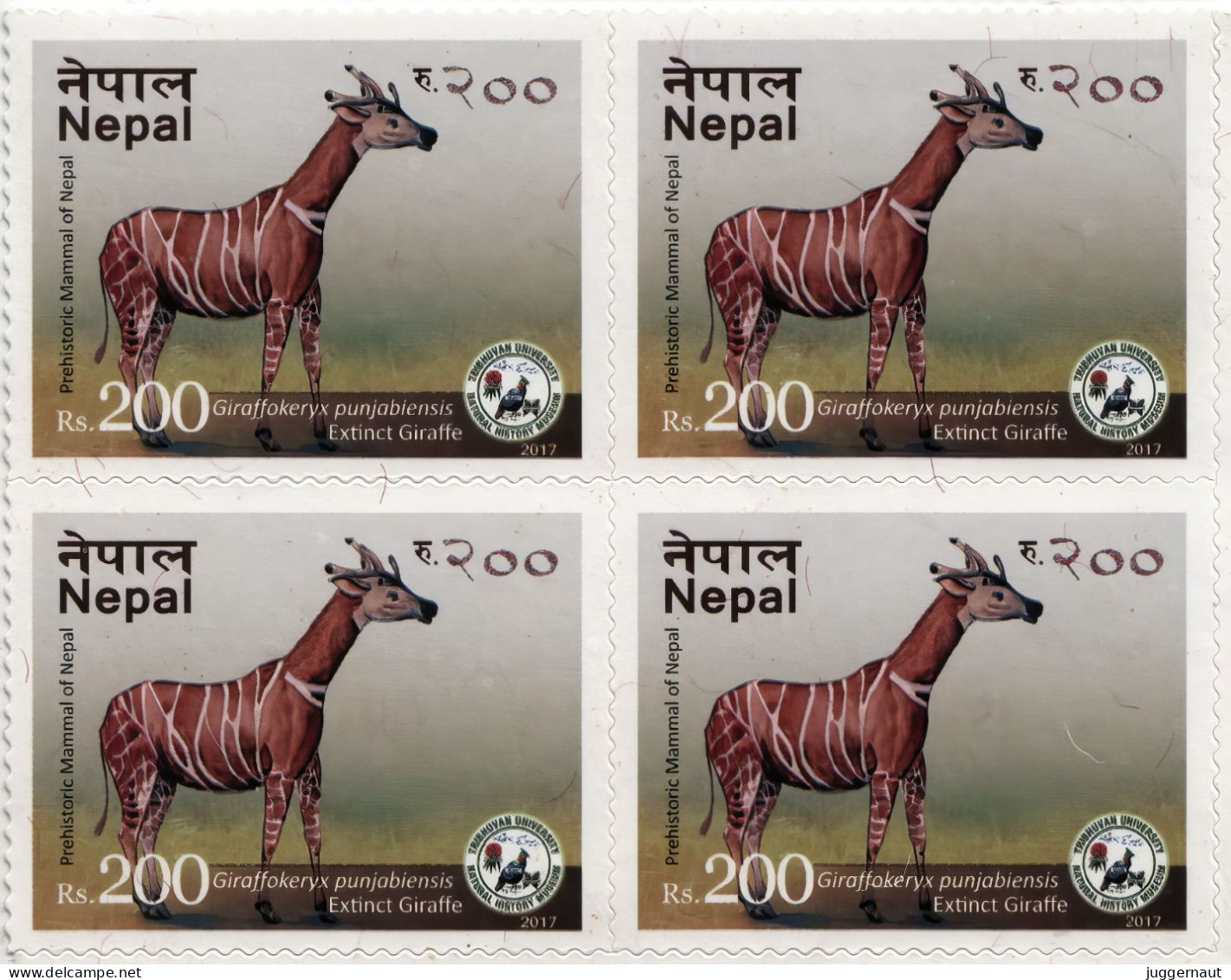 Extinct Giraffe Adhesive Postage Stamp Block 2017 Nepal MNH - Giraffen