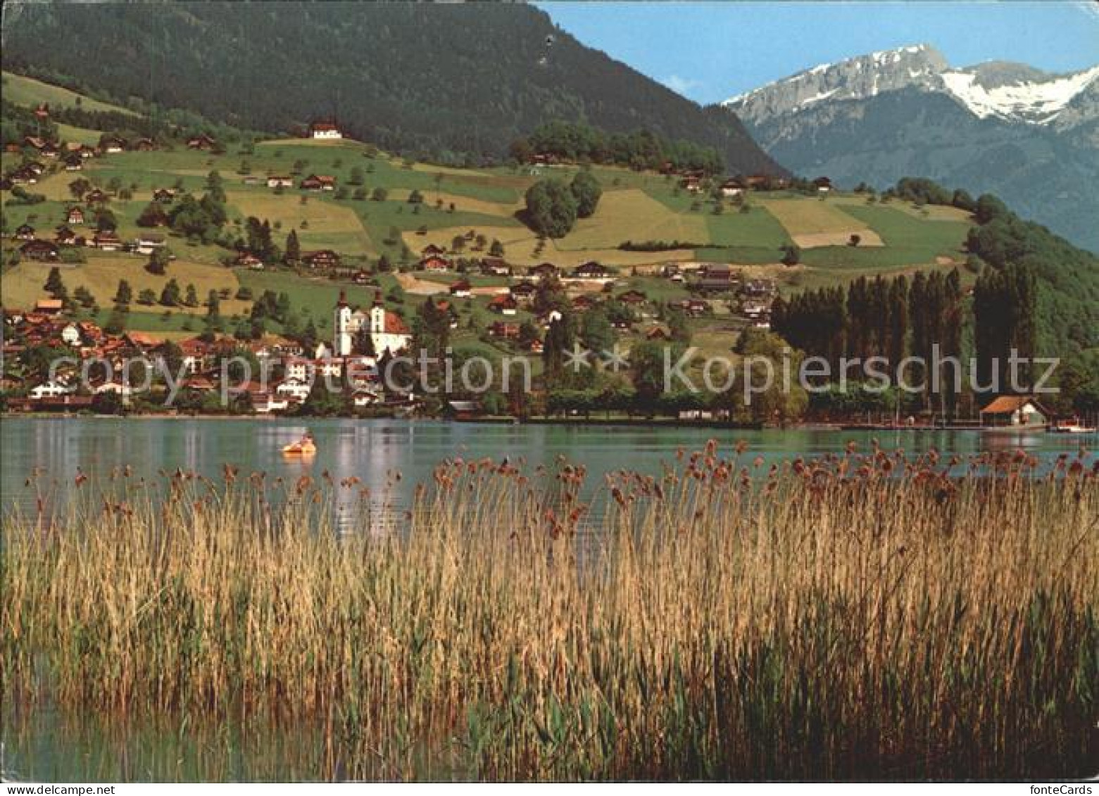 11696095 Sarnen Am See Sarnen - Autres & Non Classés