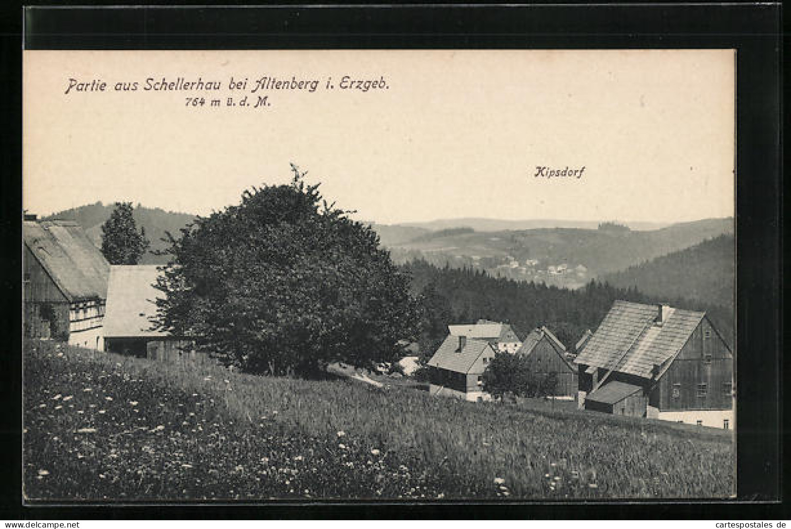 AK Schellerhau Bei Altenberg I. Erzgeb., Ortspartie Mit Kipsdorf  - Schellerhau