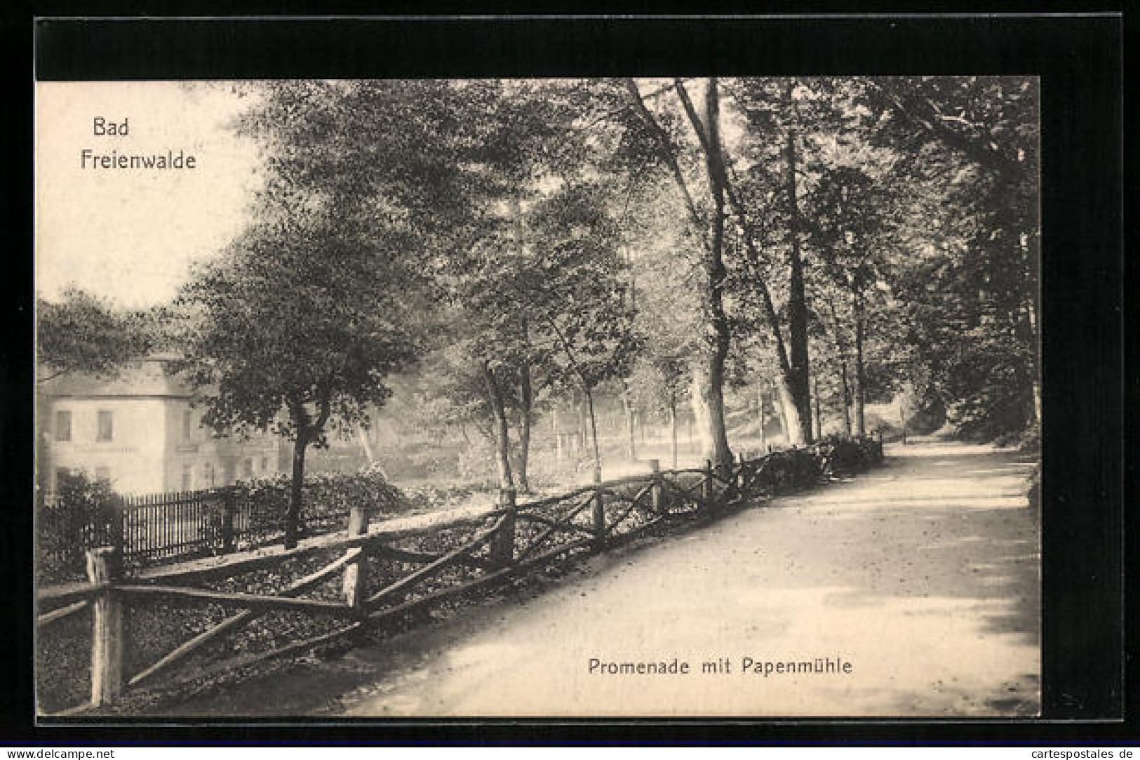 AK Bad Freienwalde, Promenade Mit Papenmühle  - Bad Freienwalde