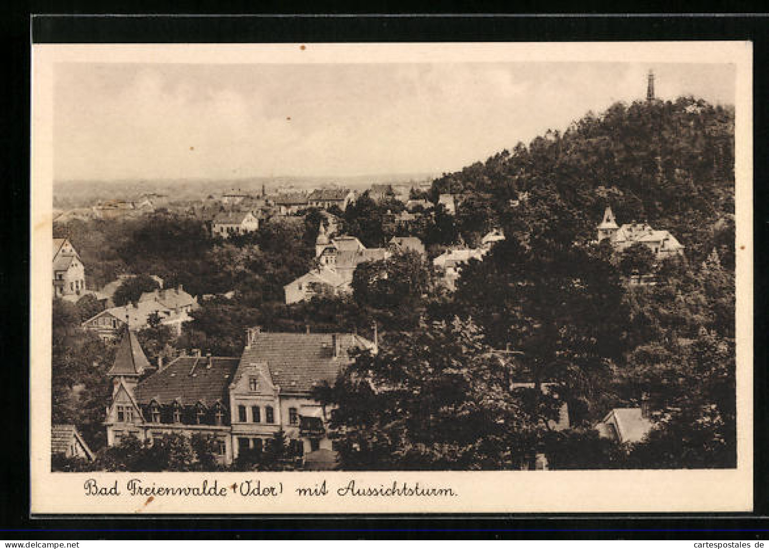 AK Bad Freienwalde / Oder, Panorama Mit Aussichtsturm  - Bad Freienwalde