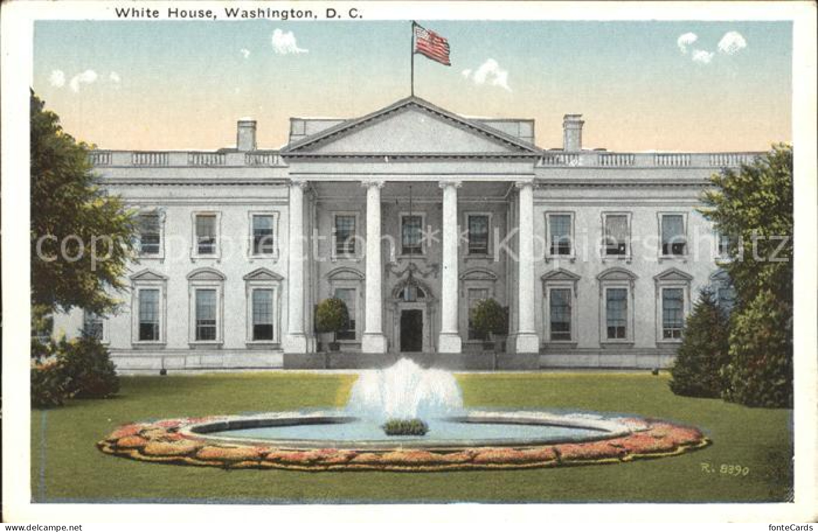 11686371 Washington DC White House  - Washington DC