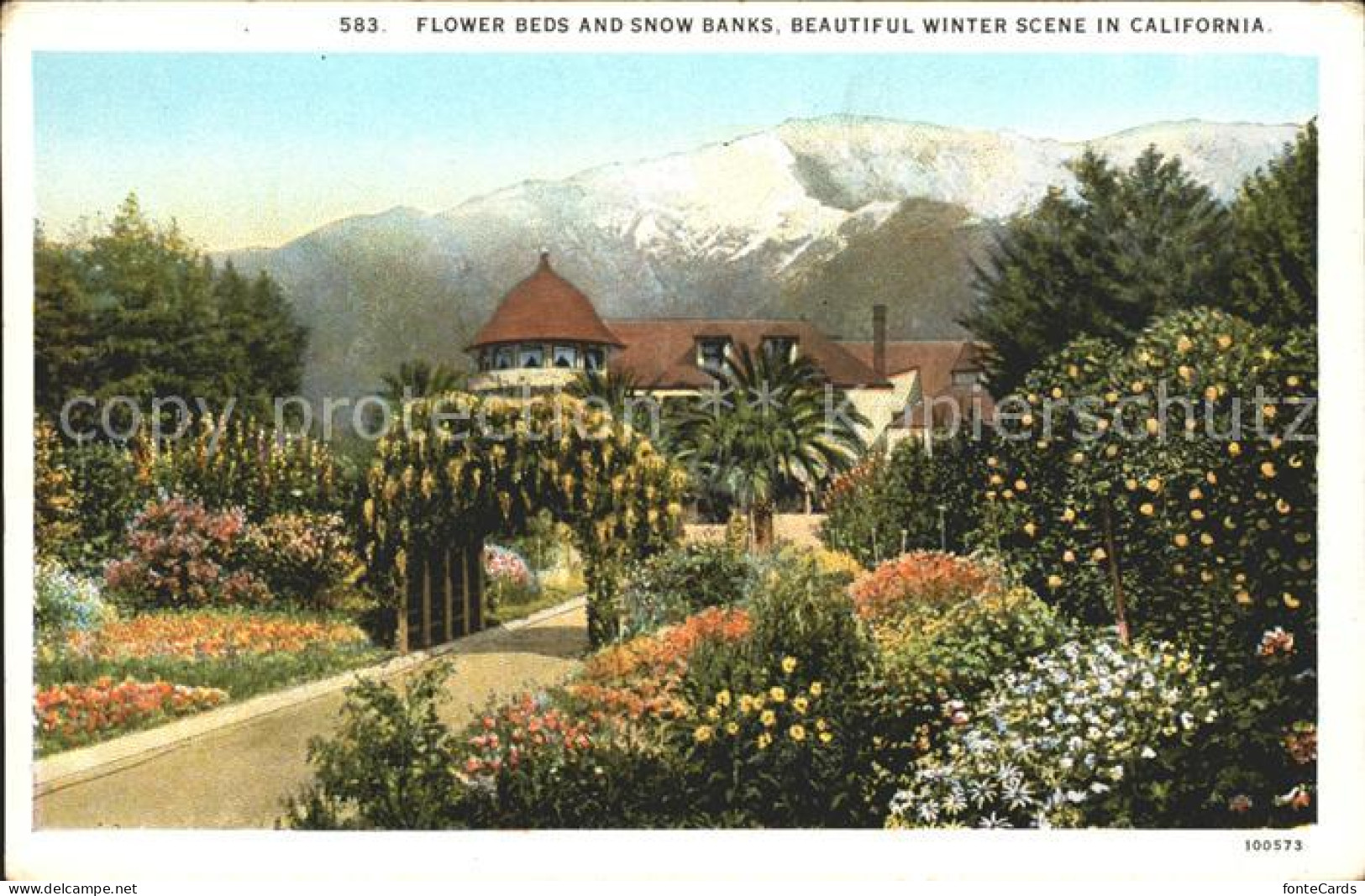 11686338 California_US-State Flower Beds And Snow Banks - Altri & Non Classificati