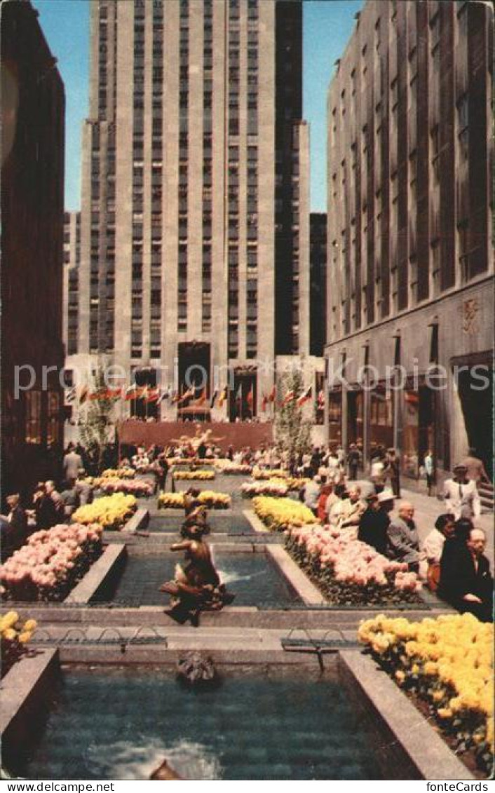 11686256 New_York_City Rockefeller Center Flower Plaza - Other & Unclassified