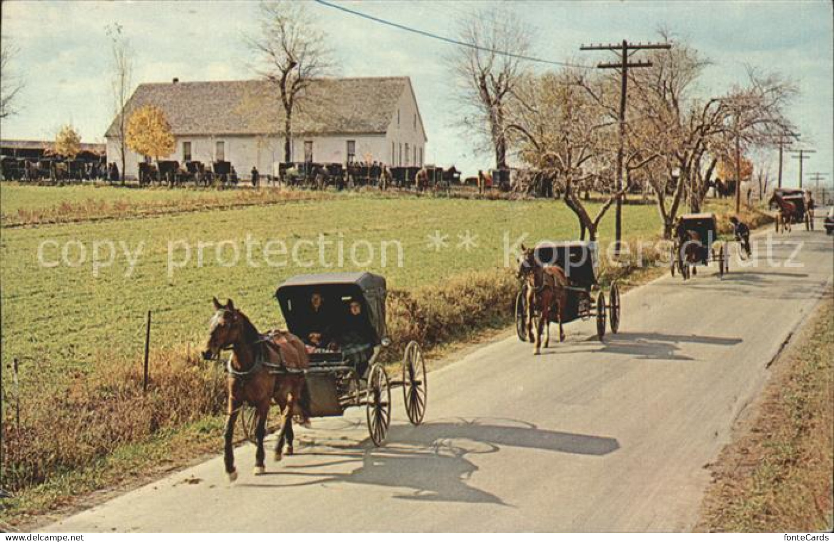 11686254 Johnstown Pennsylvania Mennonite Carriages At Church Pferdewagen Johnst - Other & Unclassified