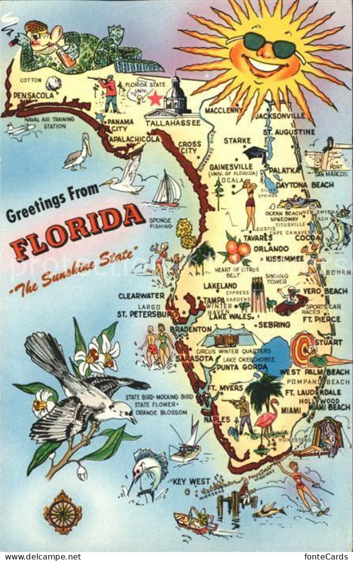 11686159 Florida_US-State Landkarte Sunshine State - Andere & Zonder Classificatie