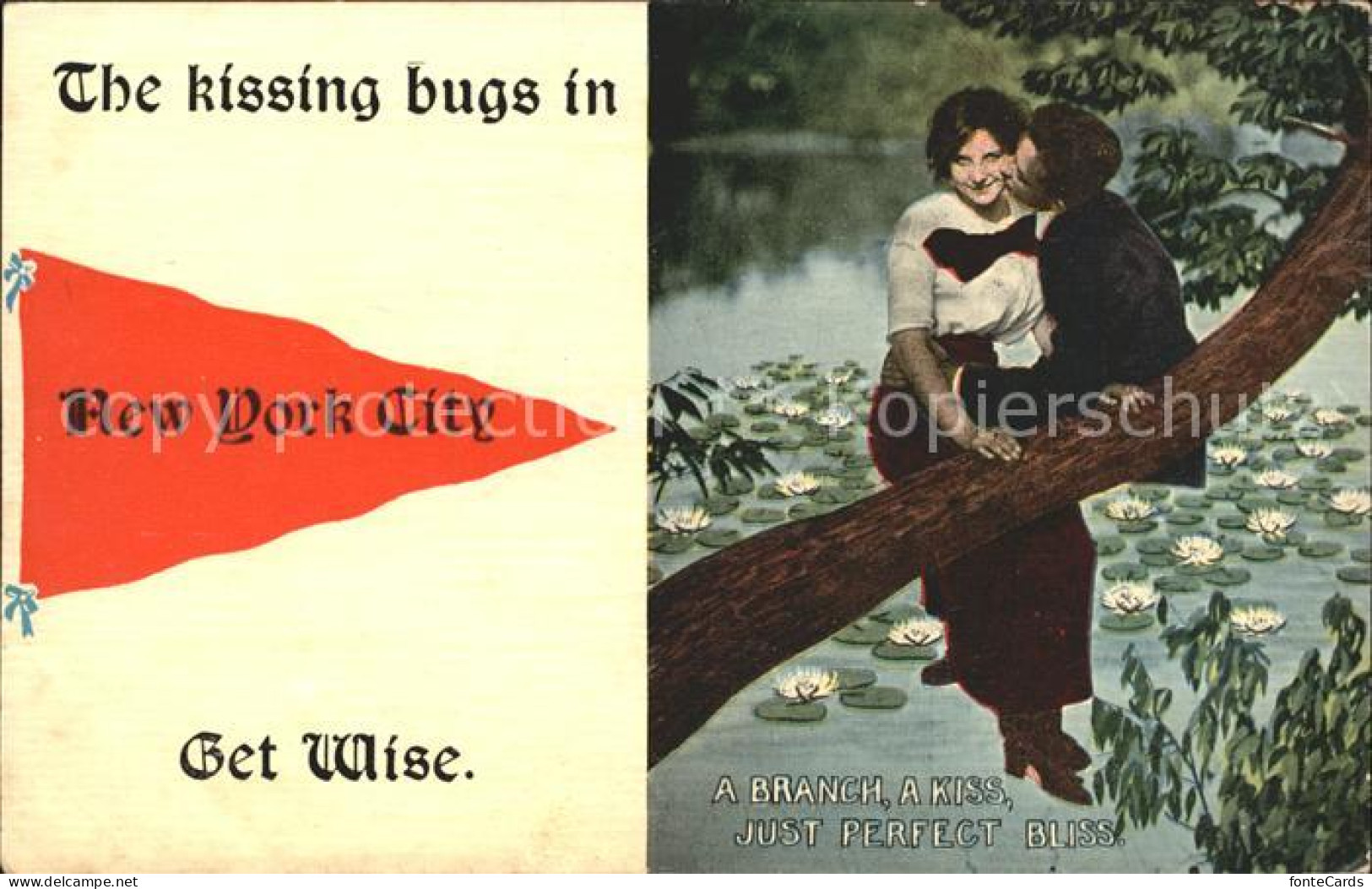 11686137 New_York_City Kissing Bugs Paar Auf Baumstamm - Other & Unclassified