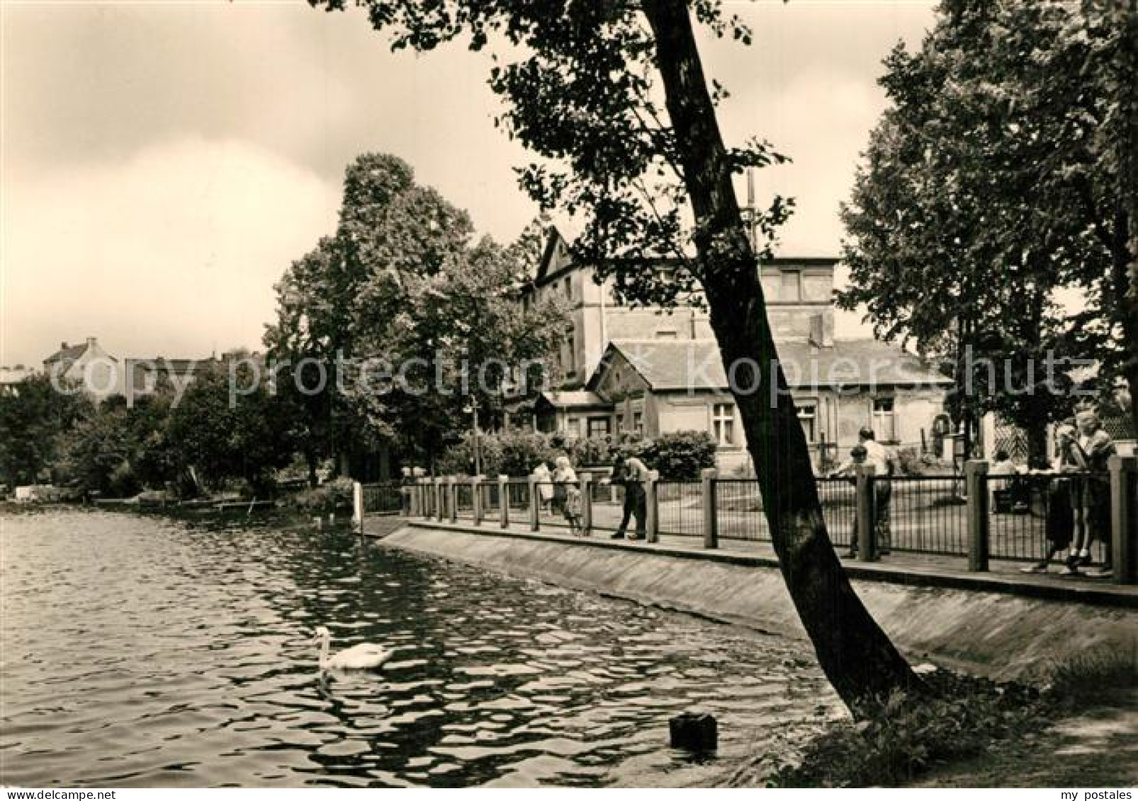 73319613 Strausberg Brandenburg Partie Am Straussee Strausberg Brandenburg - Strausberg