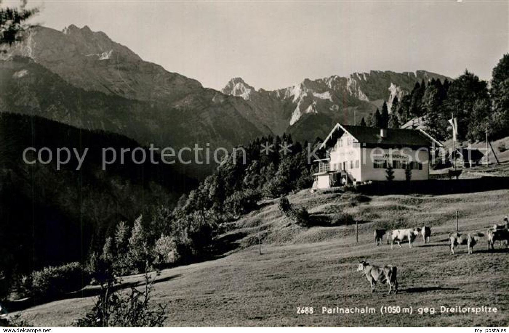 73317973 Partnachalm Panorama Dreitorspitze Partnachalm - Garmisch-Partenkirchen