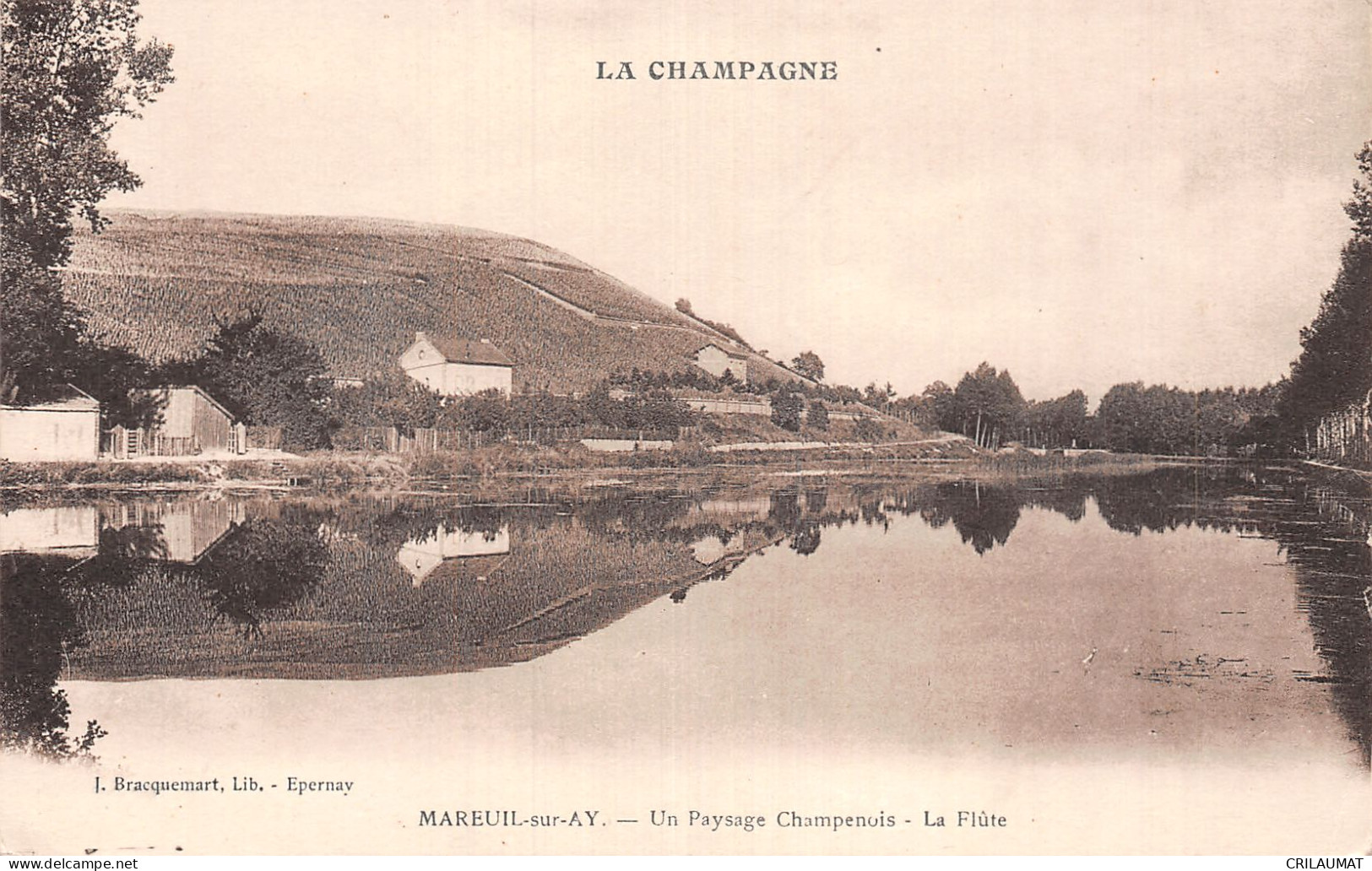 51-MAREUIL SUR AY-N°LP5121-G/0361 - Mareuil-sur-Ay