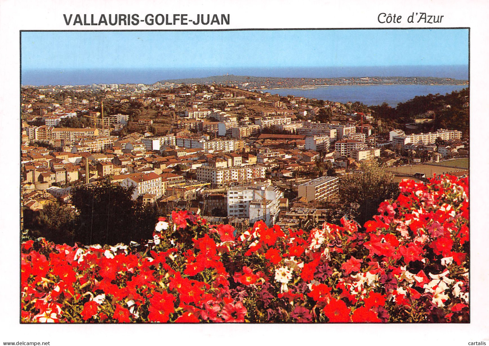 06-VALLAURIS GOLFE JUAN-N°C4113-B/0115 - Vallauris