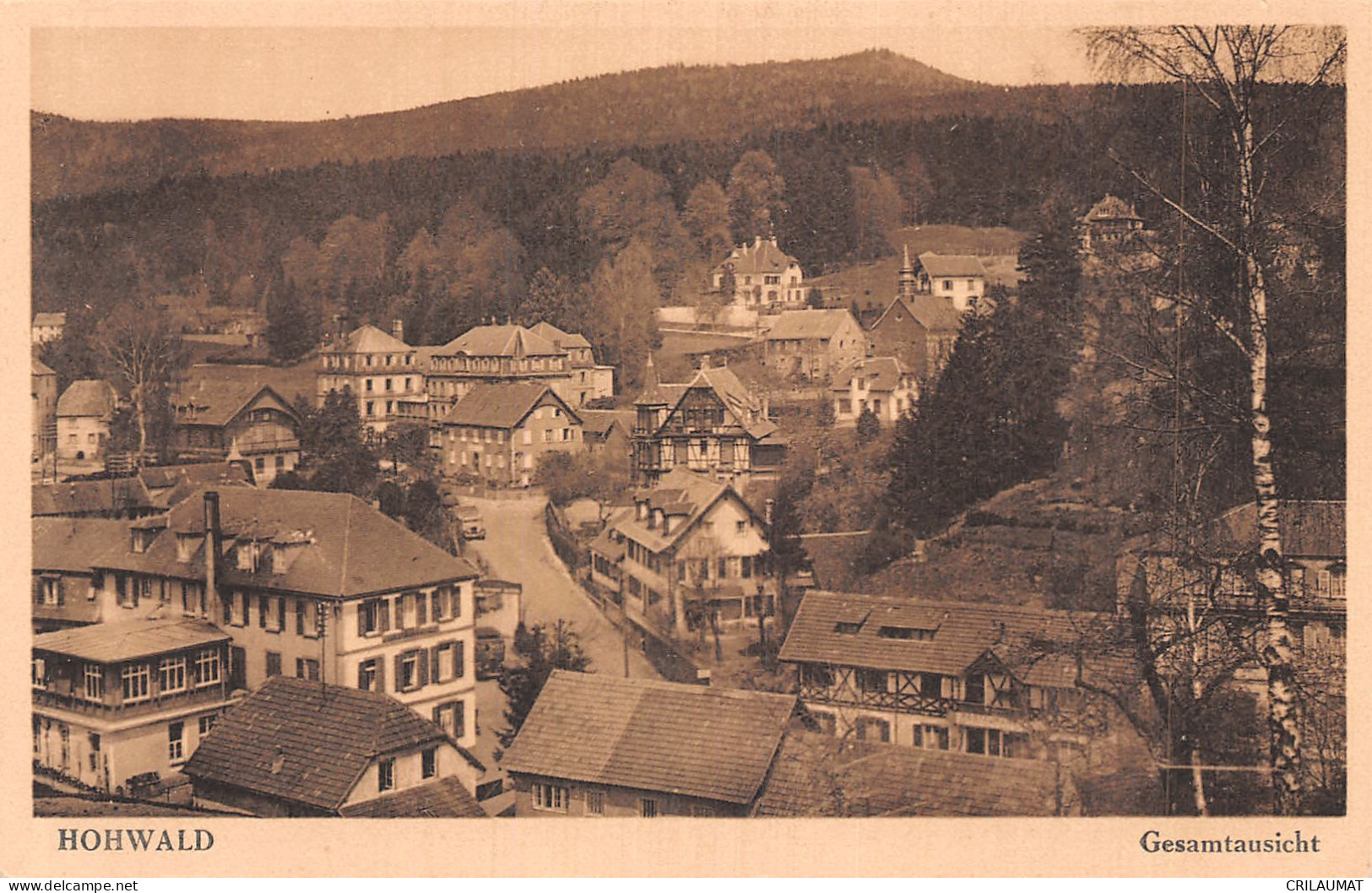 67-HOHWALD-N°LP5123-B/0085 - Hochfelden