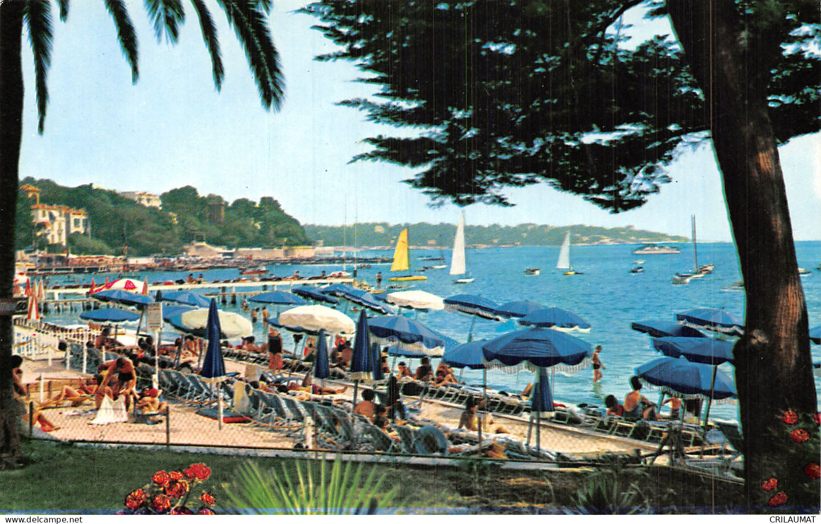 06-JUAN LES PINS-N°LP5123-C/0035 - Juan-les-Pins