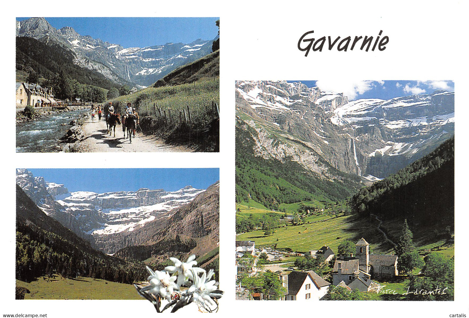 65-GAVARNIE-N°C4114-C/0195 - Gavarnie