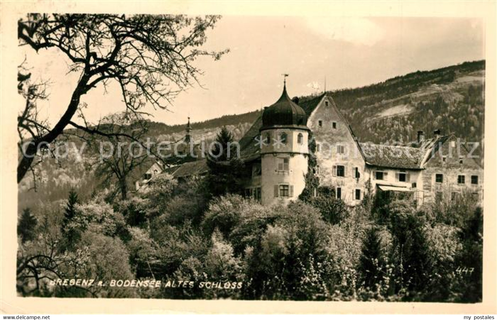 73316574 Bregenz Bodensee Altes Schloss Bregenz Bodensee - Autres & Non Classés