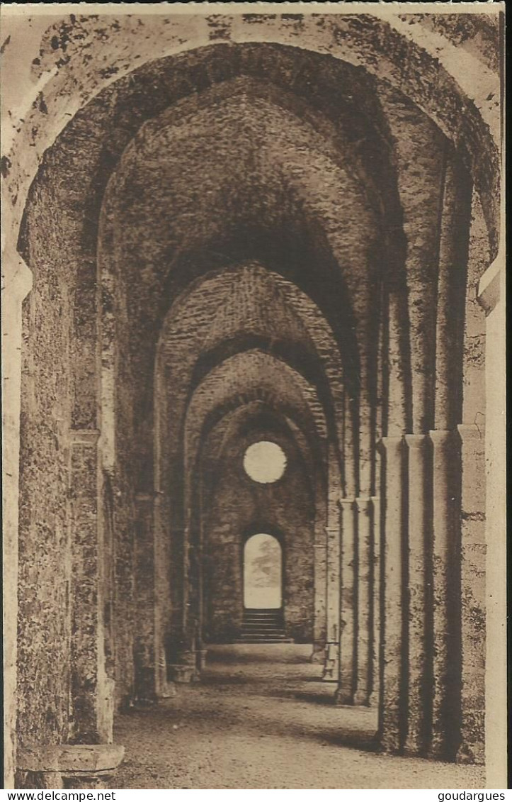 Abbaye Des Vaux-de-Cernay - Collatéral Méridional- (P) - Vaux De Cernay