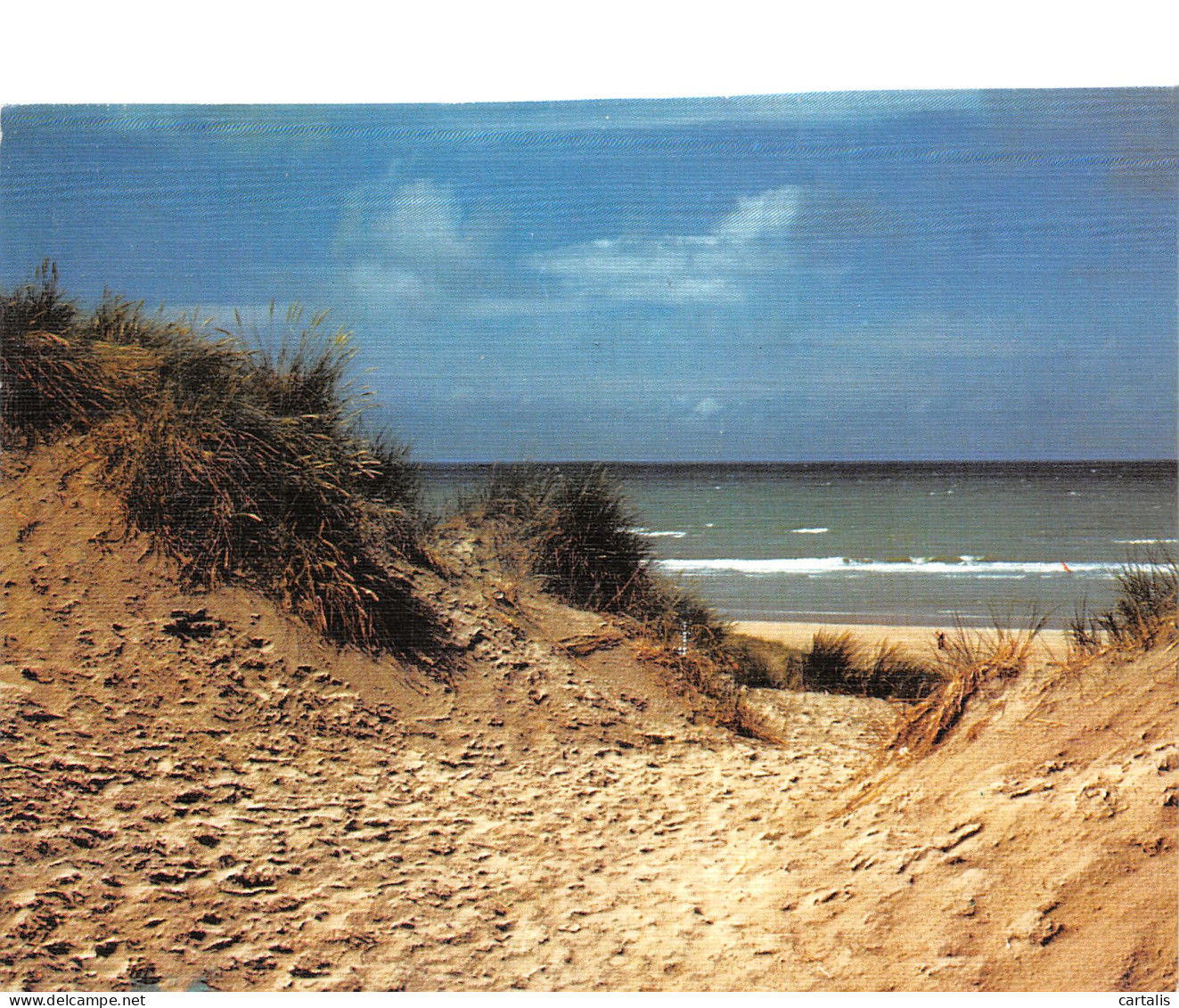 ID-PAYSAGE A IDENTIFIER DUNE PLAGE-N°C4115-B/0159 - To Identify