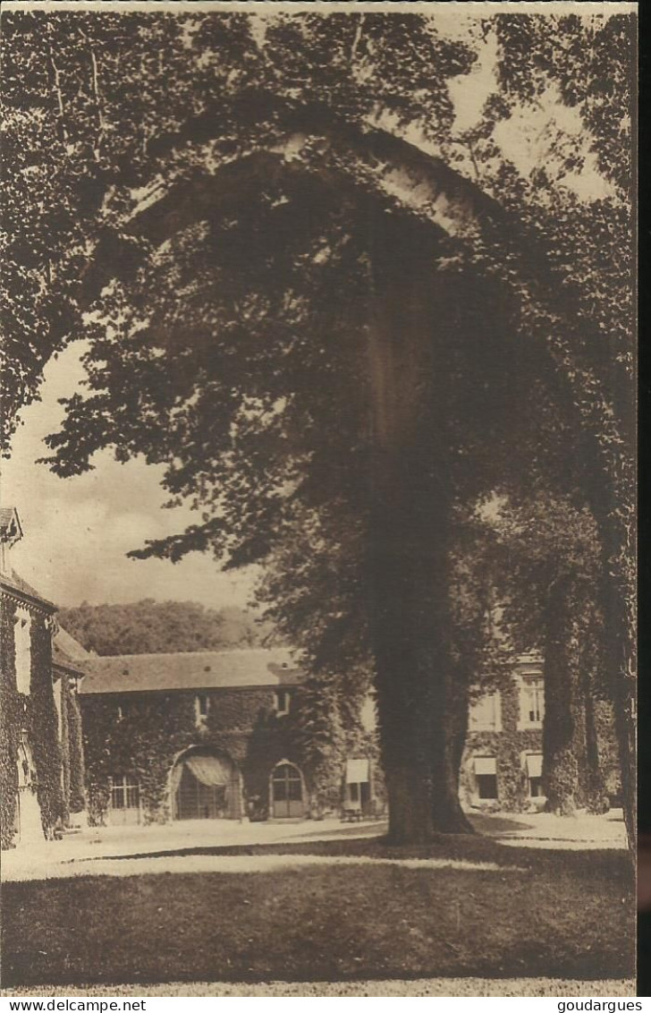 Abbaye Des Vaux-de-Cernay - Aile Sud - (P) - Vaux De Cernay