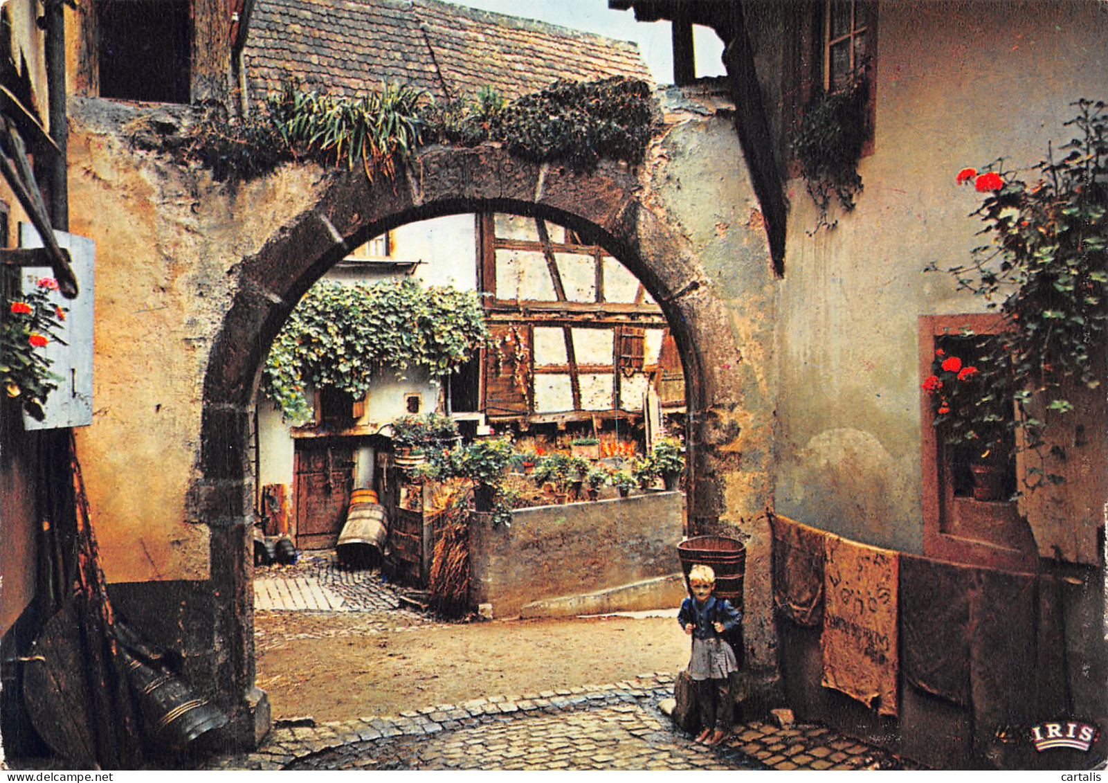 68-RIQUEWIHR-N°C4116-C/0069 - Riquewihr