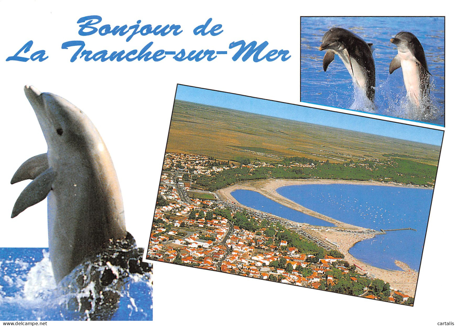 85-LA TRANCHE SUR MER-N°C4117-C/0381 - La Tranche Sur Mer