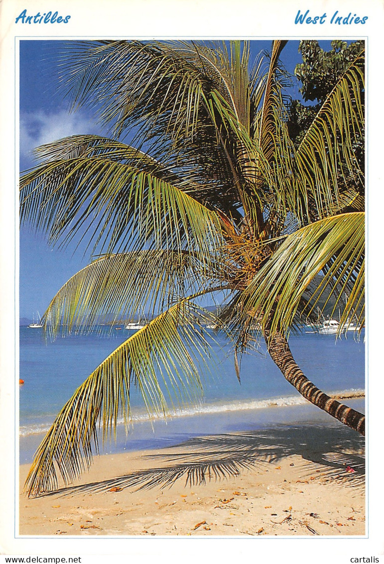 ANT-SAINT MARTIN ANTILLES-N°C4117-C/0165 - Andere & Zonder Classificatie