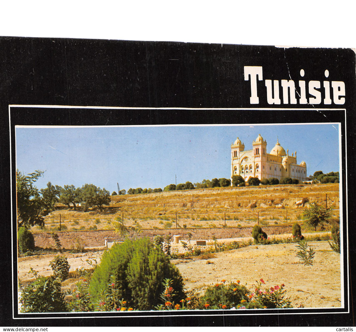 ET-TUNISIE CARTHAGE-N°C4118-A/0209 - Tunisia