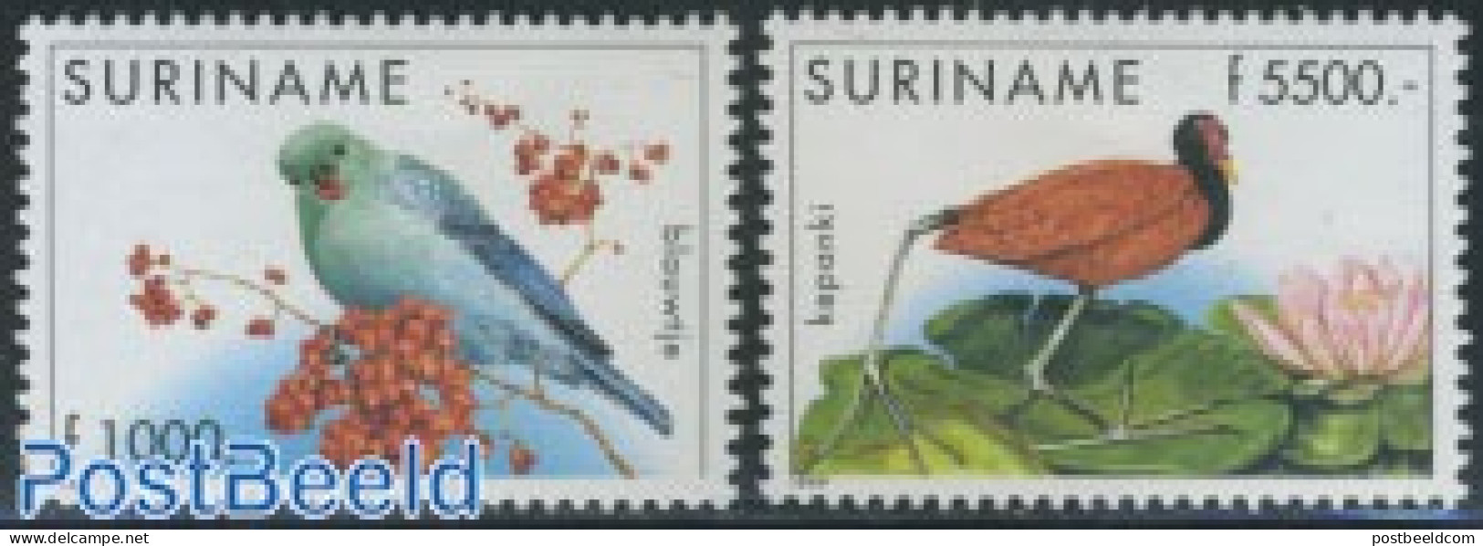 Suriname, Republic 1999 Birds 2v (1000g,5500g), Mint NH, Nature - Birds - Flowers & Plants - Surinam