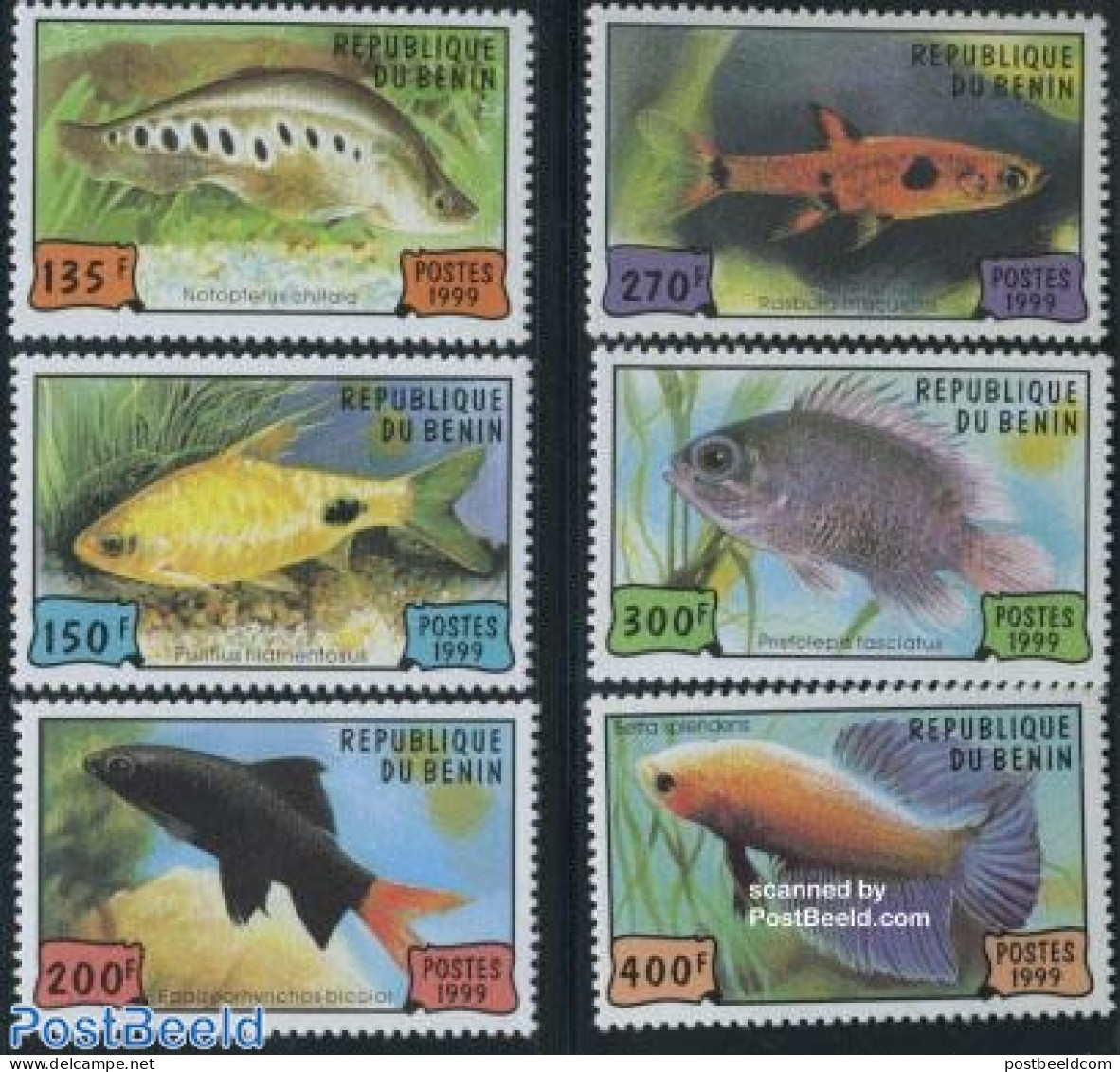 Benin 1999 Aquarium Fish 6v, Mint NH, Nature - Fish - Ungebraucht