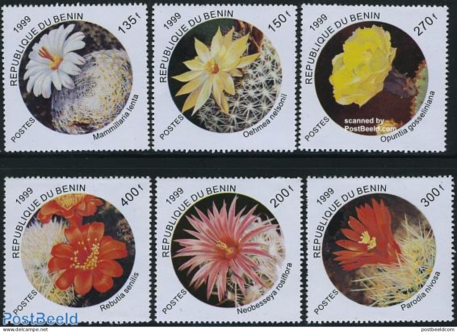 Benin 1999 Succulents 6v, Mint NH, Nature - Cacti - Flowers & Plants - Nuevos