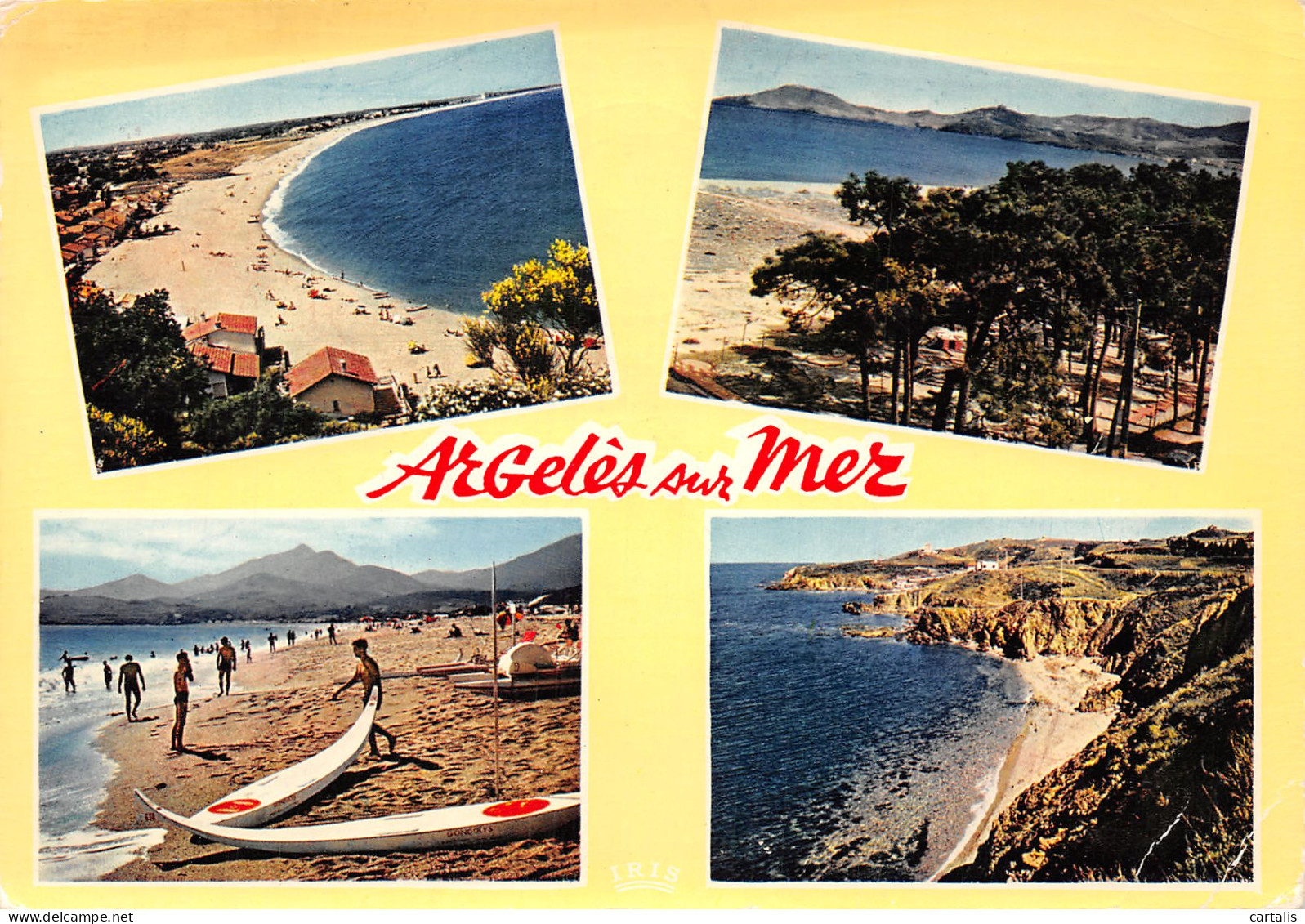 66-ARGELES SUR MER-N°C4118-B/0291 - Argeles Sur Mer