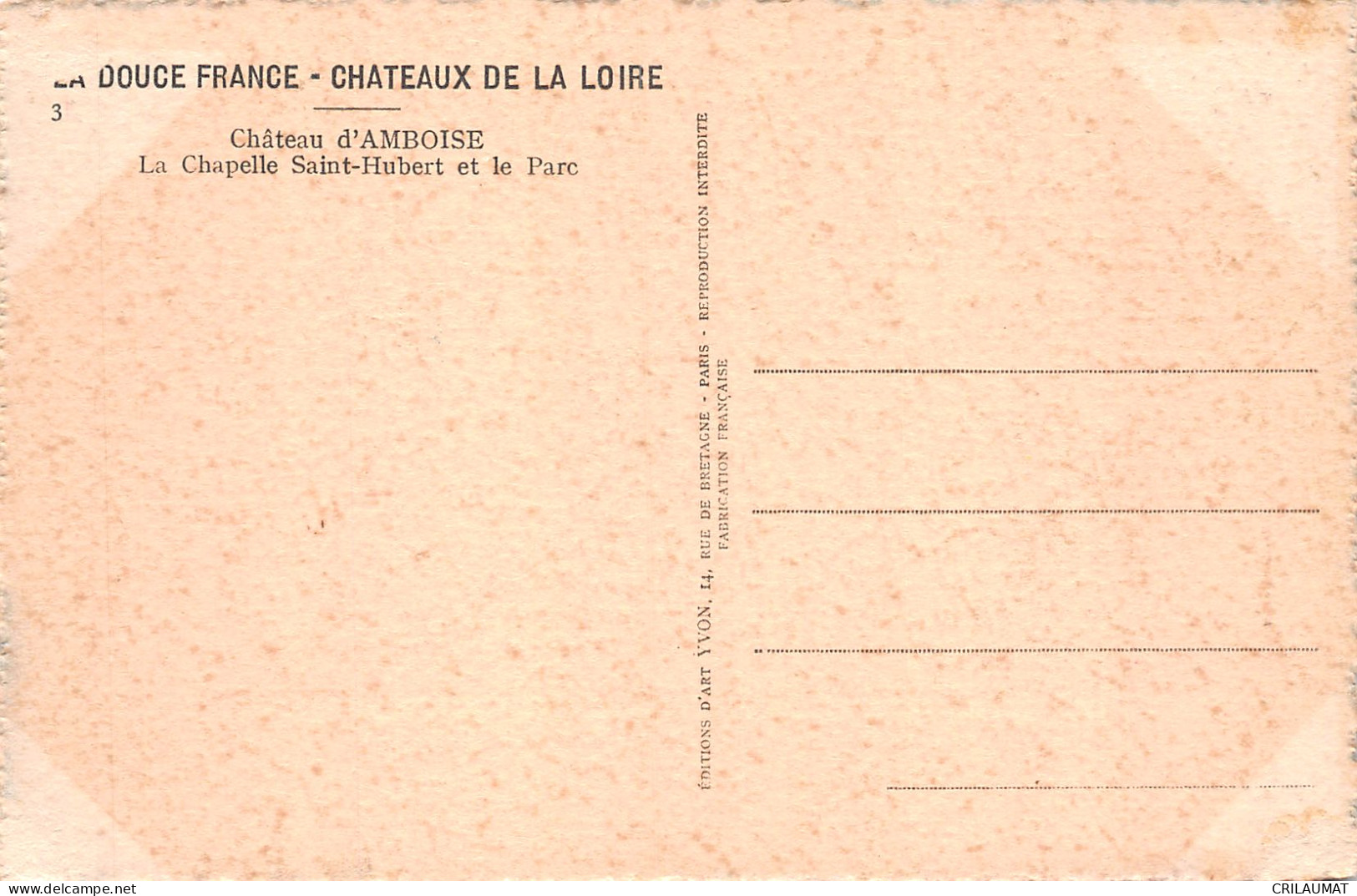 37-AMBOISE LE CHATEAU-N°LP5126-B/0355 - Amboise