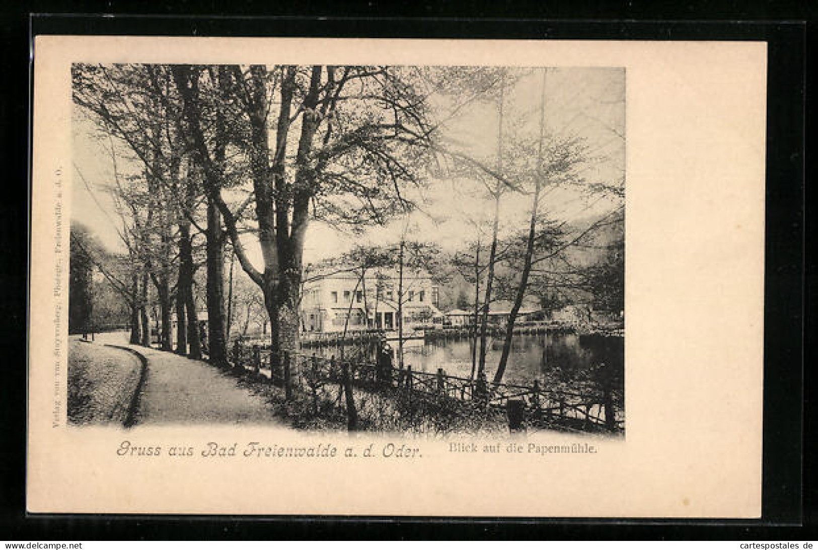 AK Bad Freienwalde / Oder, Blick Auf Die Papenmühle  - Bad Freienwalde