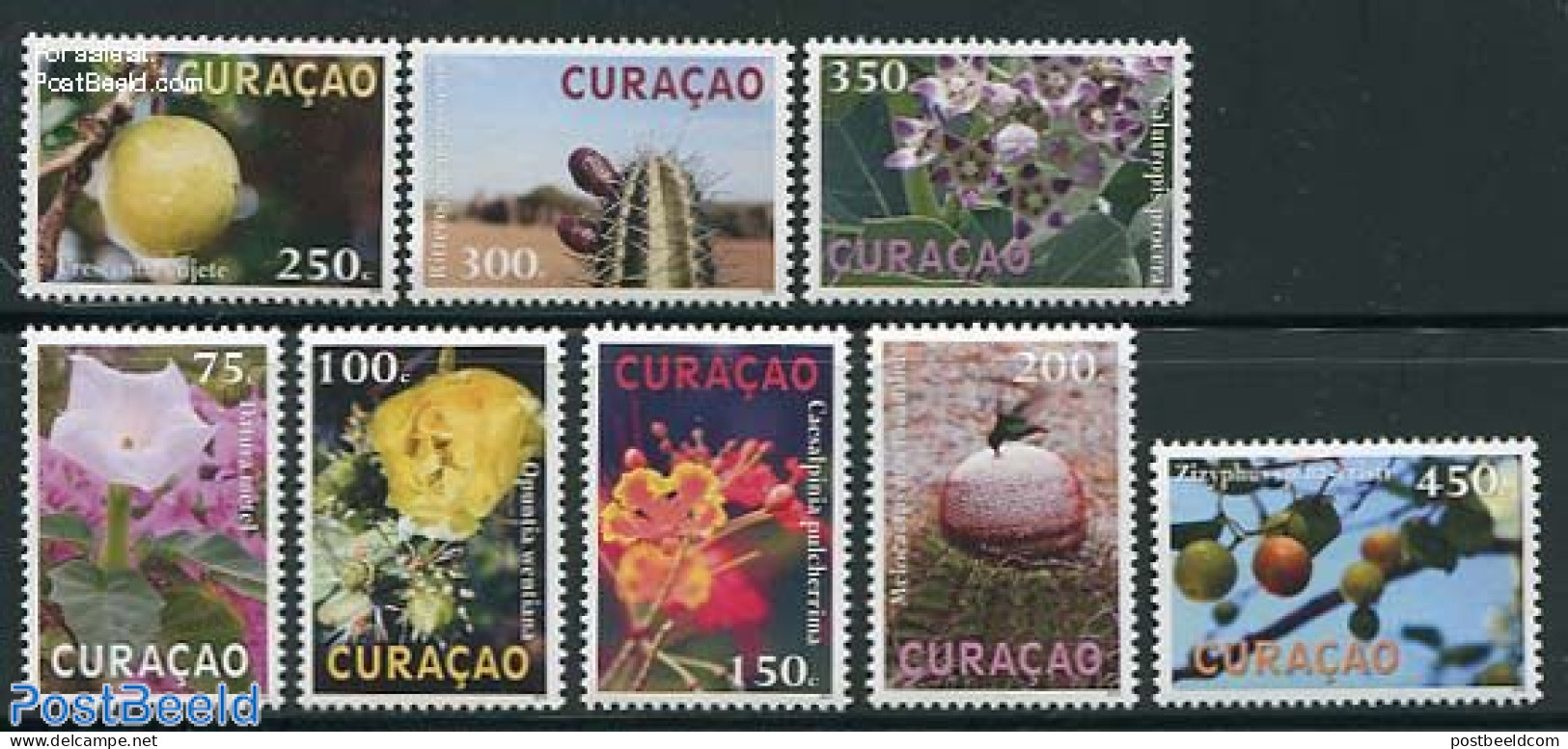 Curaçao 2012 Flora 8v, Mint NH, Nature - Cacti - Flowers & Plants - Cactus