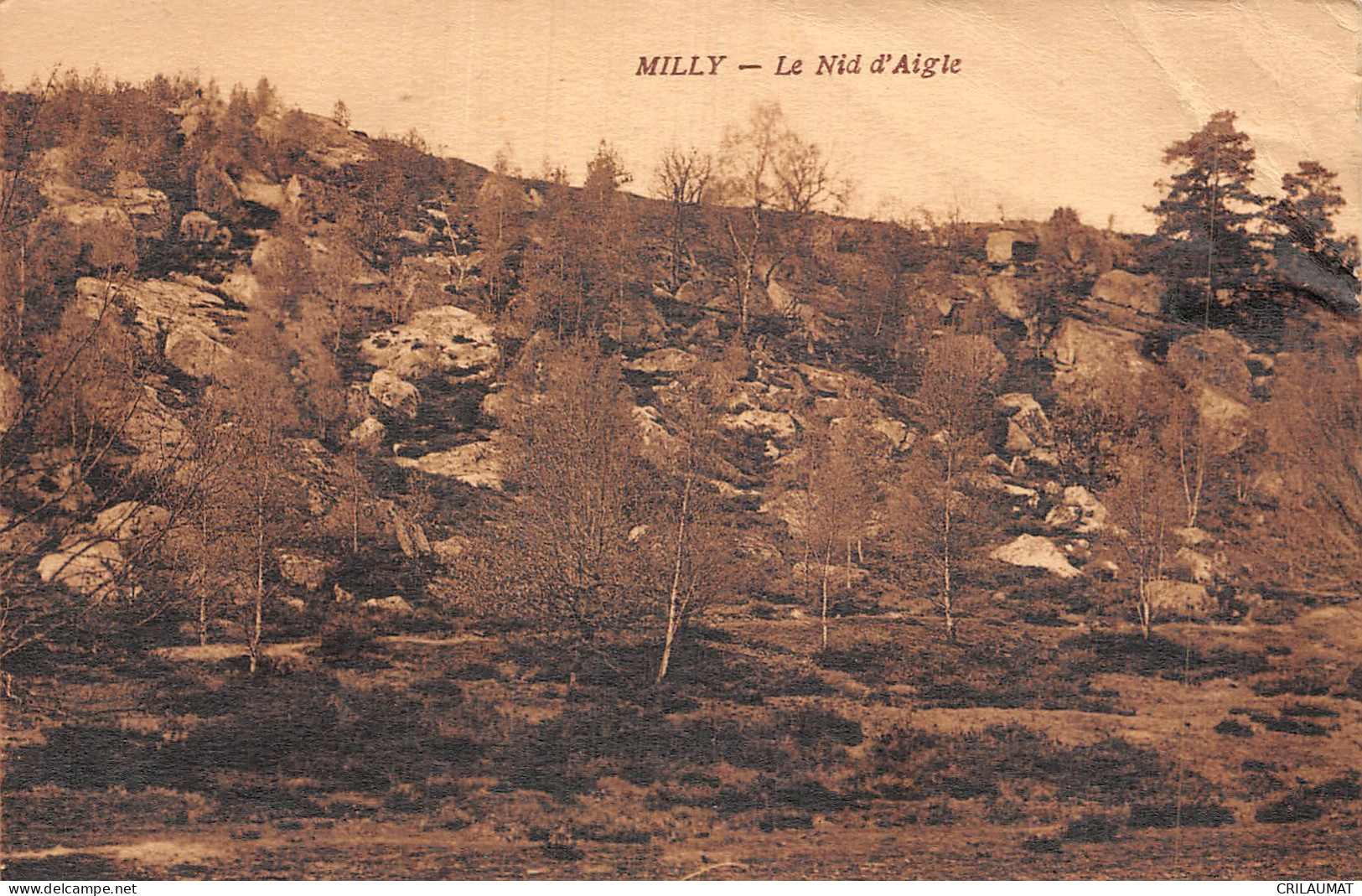 91-MILLY-N°LP5126-D/0323 - Milly La Foret