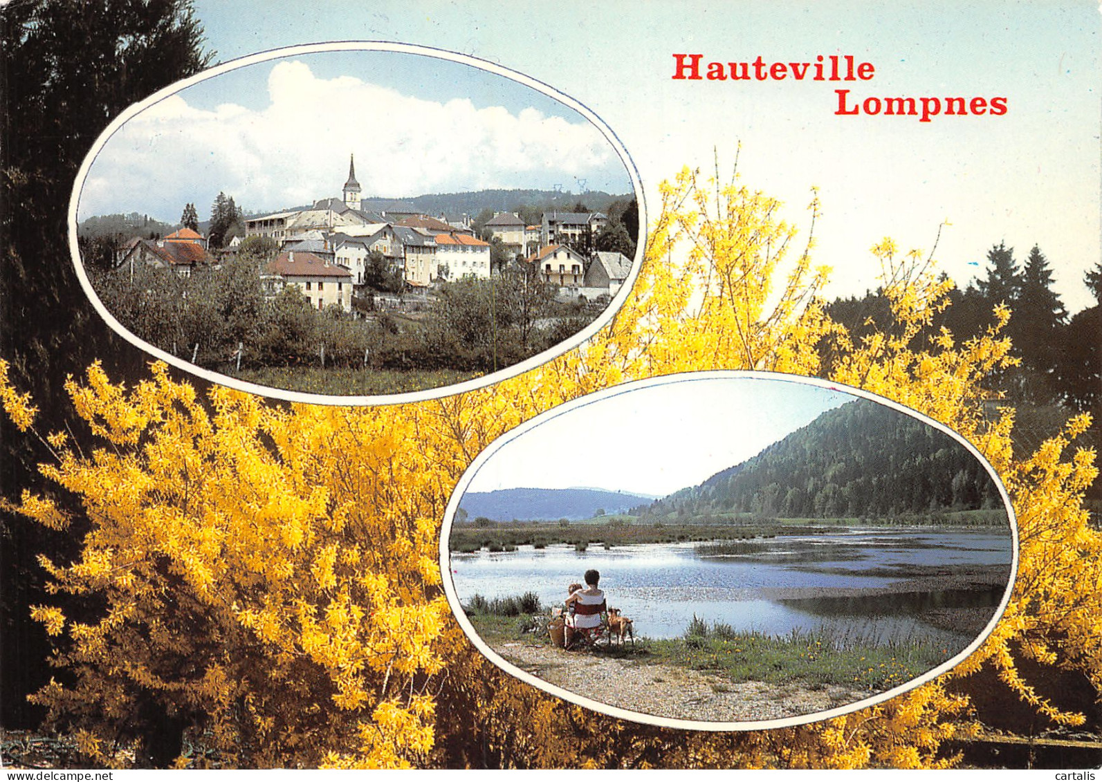 01-HAUTEVILLE LOMPNES-N°C4119-C/0203 - Hauteville-Lompnes