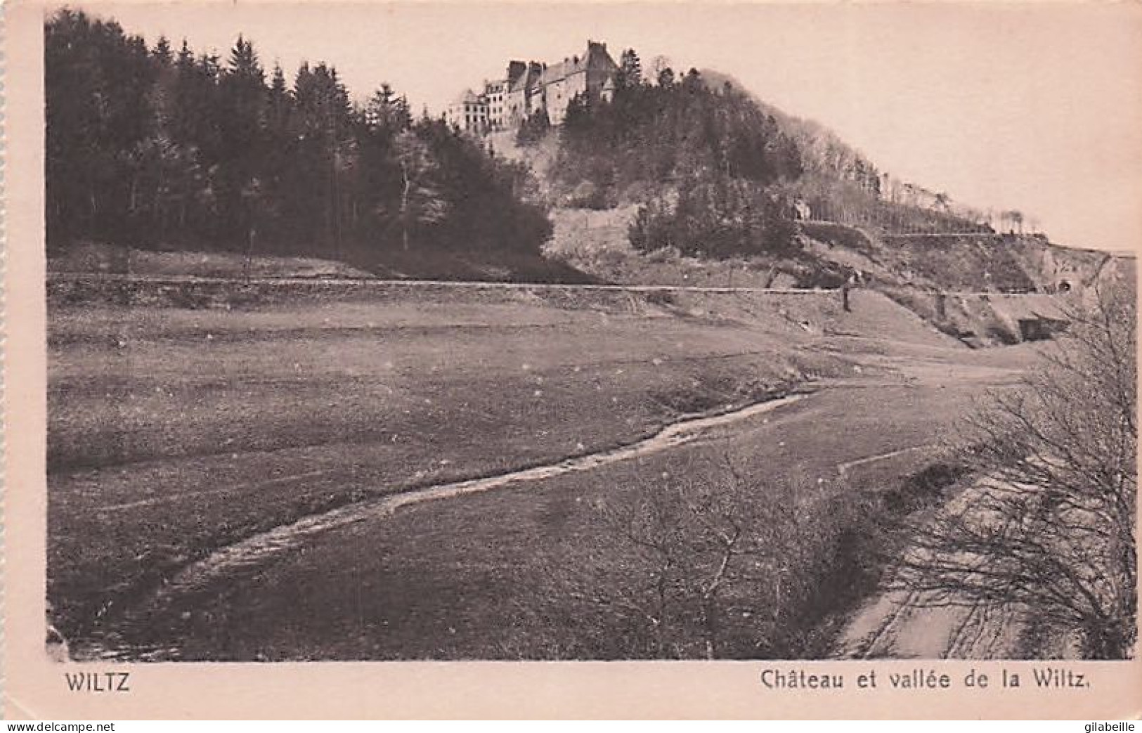 WILTZ - Le Chateau Et La Vallée De La Wiltz - Wiltz